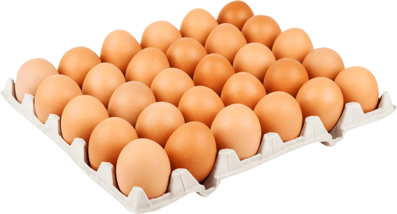 Akcijski proizvod