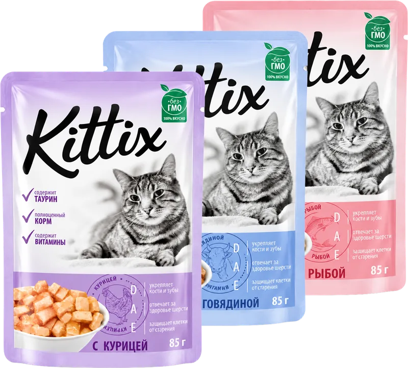Hrana za mačke riba / piletina / govedina Kittix 85g